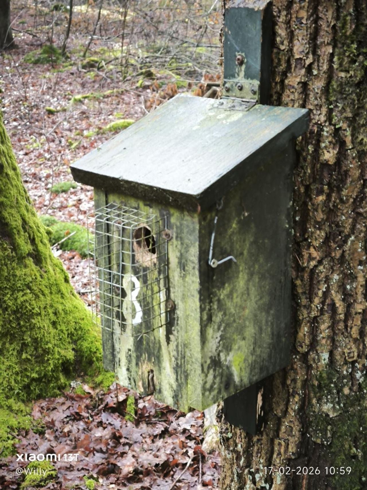 Een nestkastje voor onderzoek (foto: Willy Kersjes).