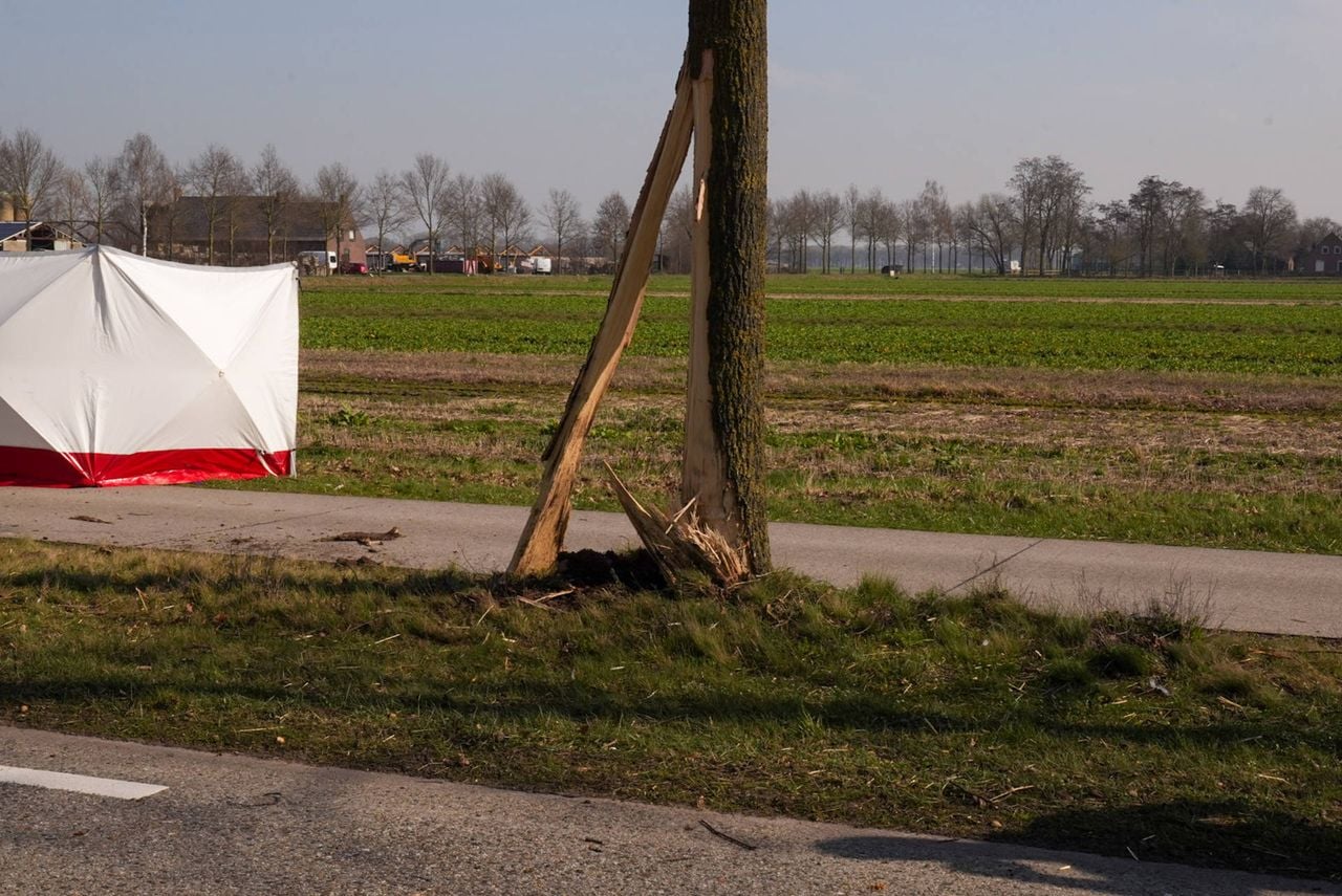 Foto: Harrie Grijseels/Persbureau Heitink.