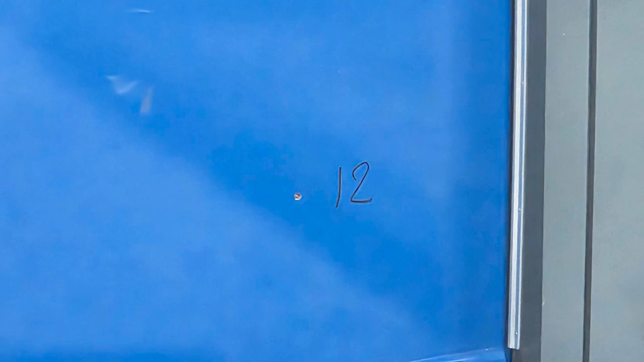 Kogelgaten in de deur (foto: Noël van Hooft / Omroep Brabant).