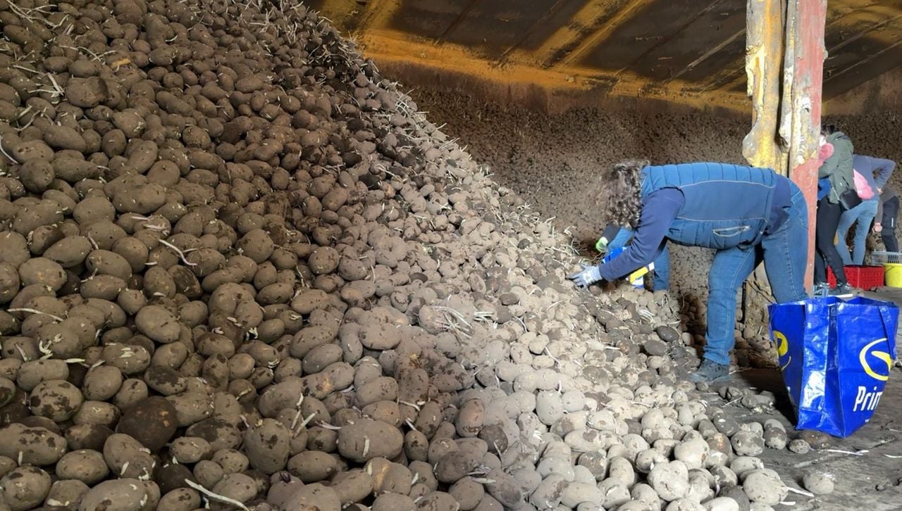 Honderden mensen kwamen zondagochtend af op de goedkope aardappelen (foto: Pieter Soethout).
