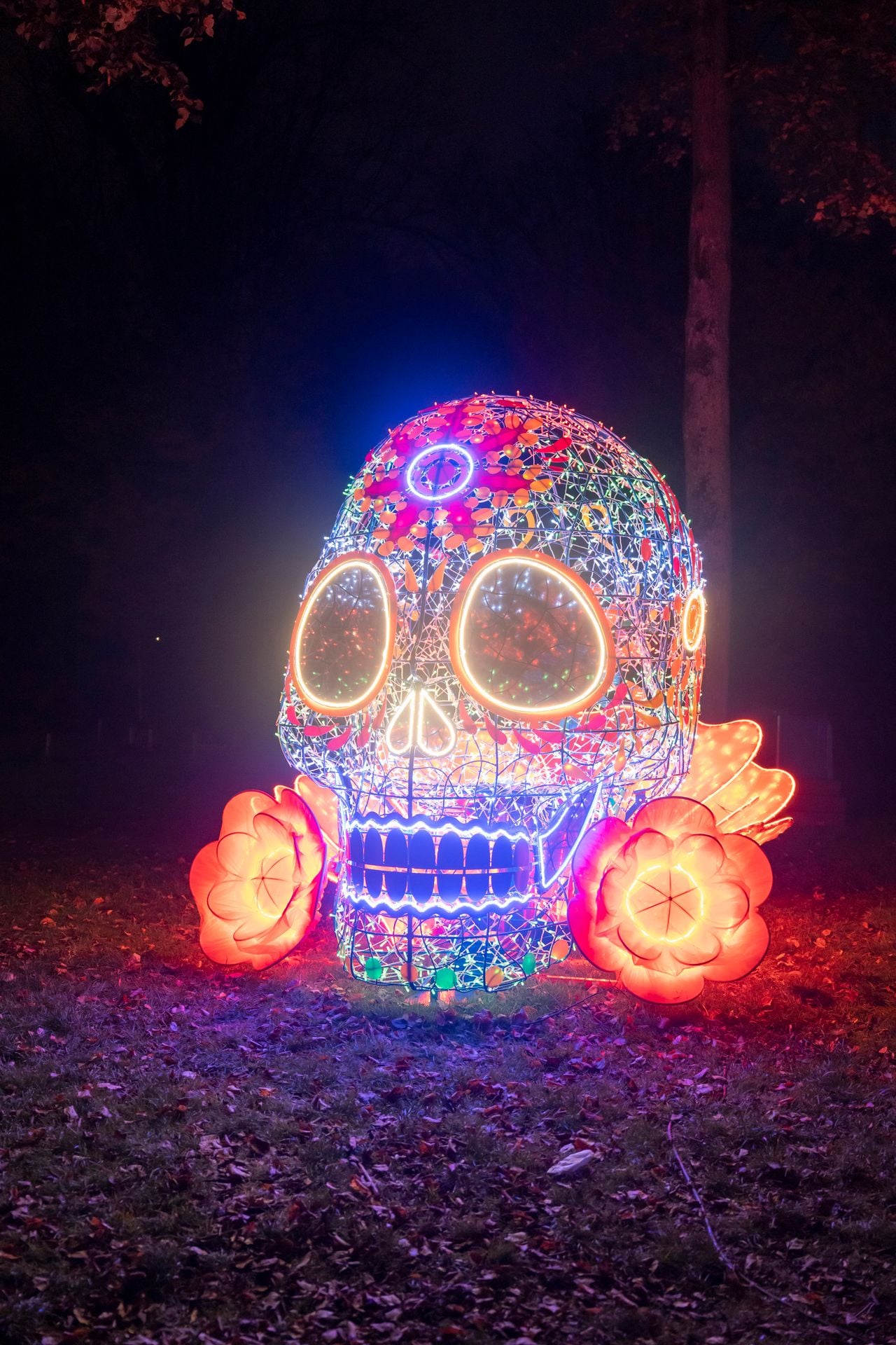 Een werk van kunstcollectief Trafficlight of Mexico dat tijdens GLOW Eindhoven afgelopen jaar te zien was (foto: Bart van Overbeeke).