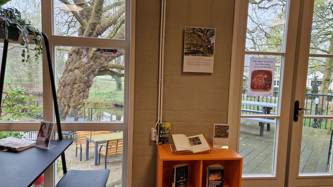 Het herinneringsboekje in de bieb van Veghel met op de achtergrond de oude plataan (foto: Tom Berkers).