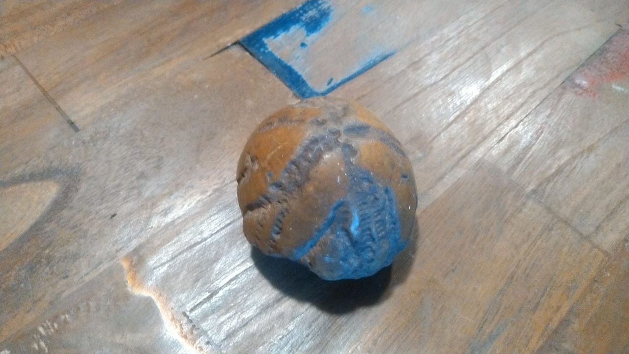 Fossiel gevonden in kringloopwinkel (foto: Toine Velge  / Karoesell XL).