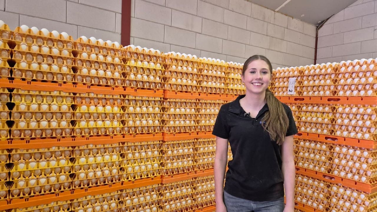 Emma tussen de voorraad eieren (foto: Niek de Bruijn)