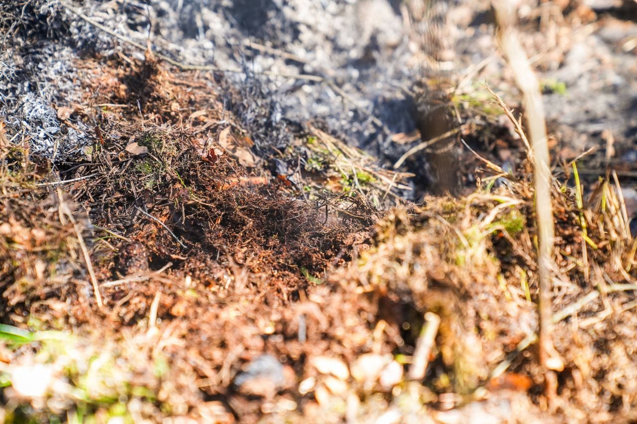 Een gebied van zo'n vijftig vierkante meter staat in brand (foto: Dave Hendriks / Persbureau Heitink).