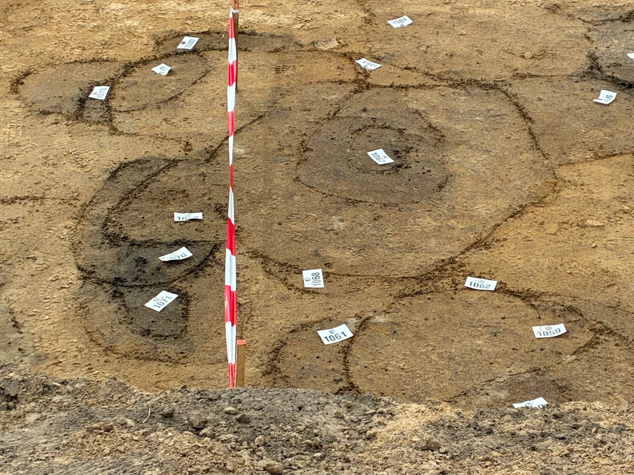 Opgravingen bij Westerhoven (foto: Wilco Zonneveld).