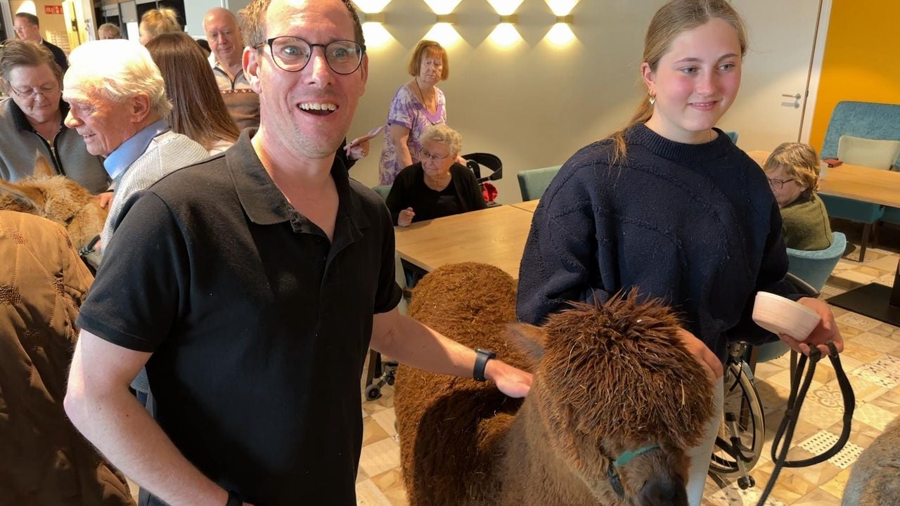 Arno is dol op de alpaca (foto: Omroep Brabant).