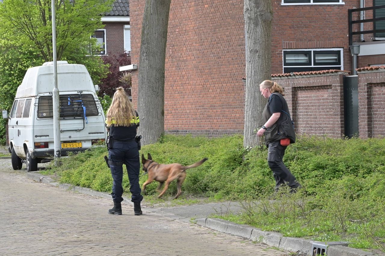 Met een politiehond wordt in de bosjes gezocht (foto: Perry Roovers / Persbureau Heitink).