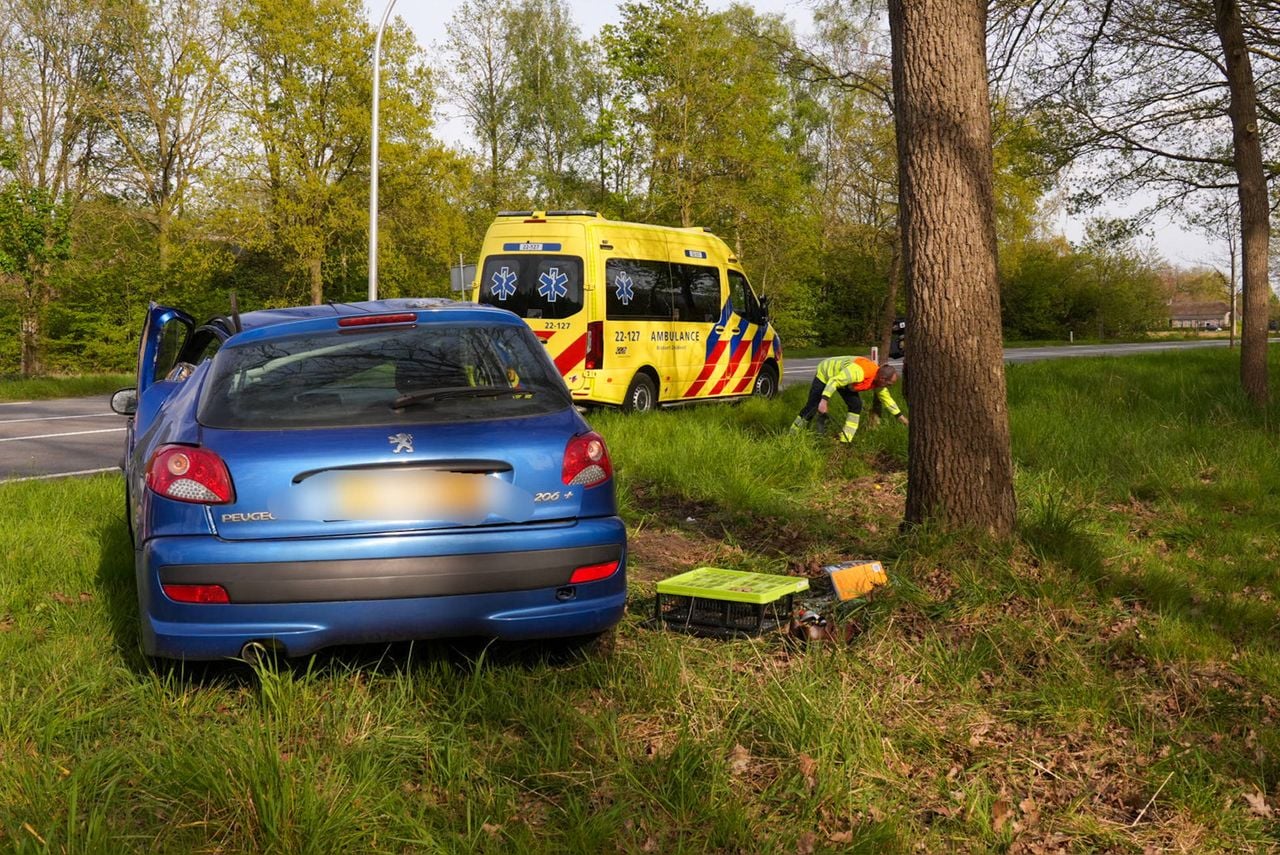 foto: Harrie Grijseels / Persbureau Heitink