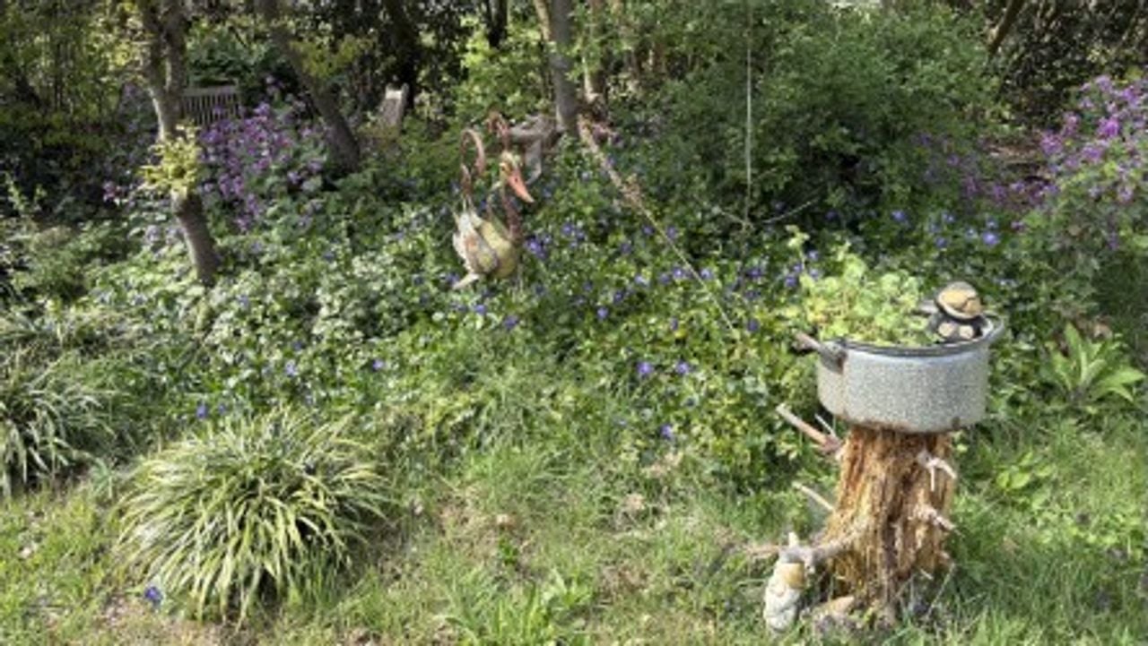 Een deel van de groene oase