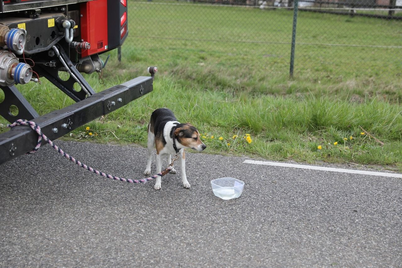Foto: Christian Traets/Persbureau Heitink.