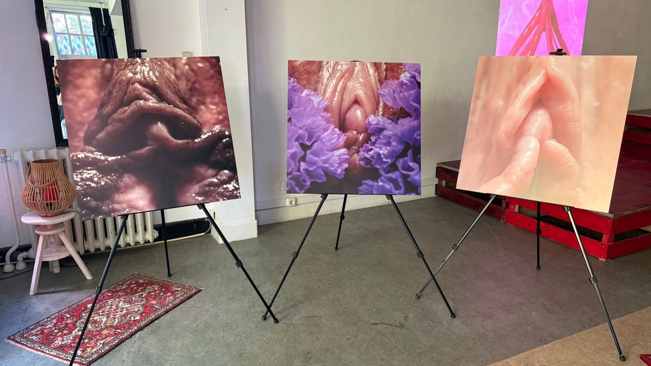 Elwin wil de variatie in soort en kleur vulva's laten zien (foto: Omroep Brabant).