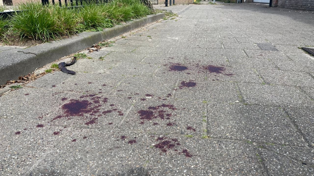De bloedspatten waren maandagochtend vroeg nog goed te zien op straat (foto: Jos Verkuijlen).