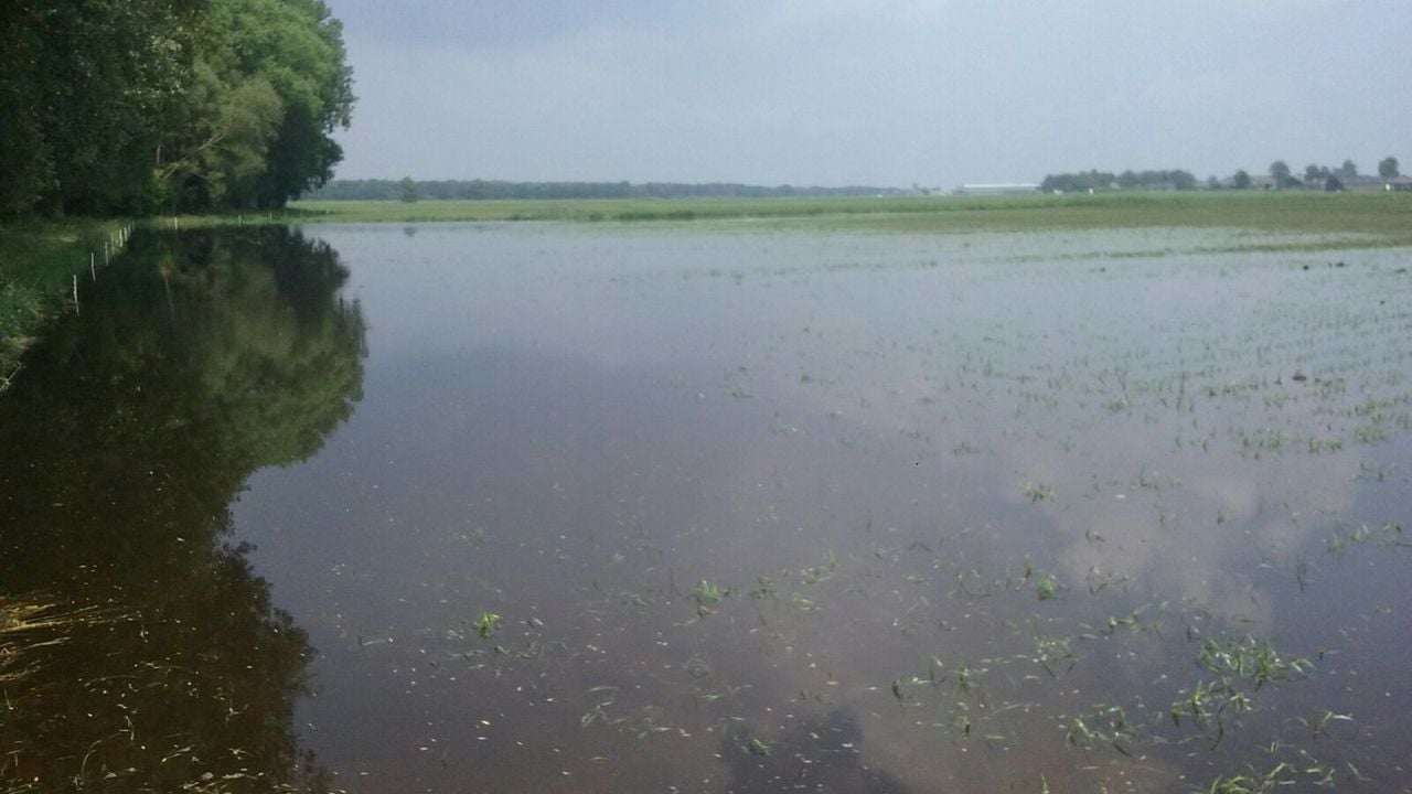 De overstroming bij Arie Verdonschot in 2016 (Foto: Arie Verdonschot)