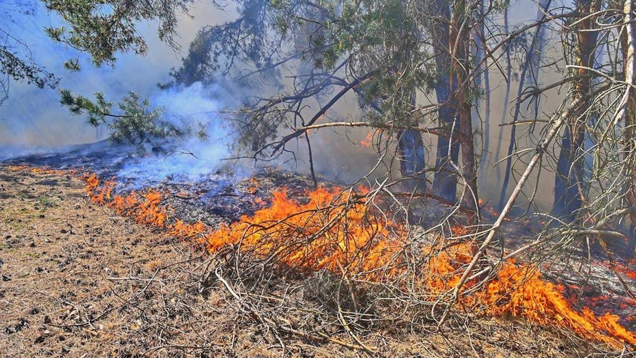 De brand bij Budel laait weer op (foto: Rico Vogels/Persbureau Heitink).