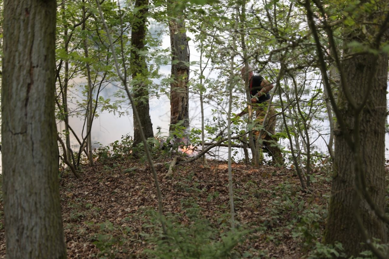 De bosbrand woedt op landgoed  Lievensberg (foto: Persbureau Heitink/Christian Traets ).