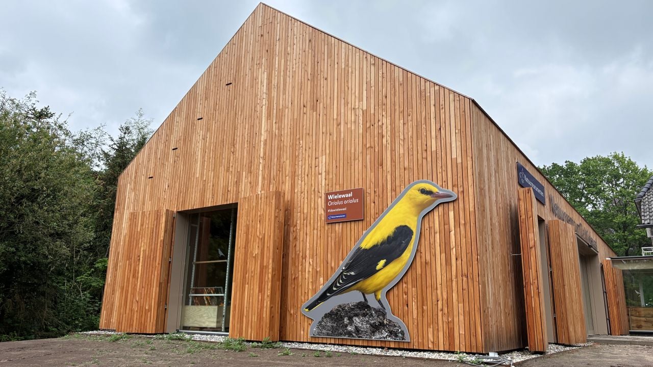 Een afbeelding van een Wielewaal op het bezoekerscentrum in Eindhoven (foto: Rogier van Son). 