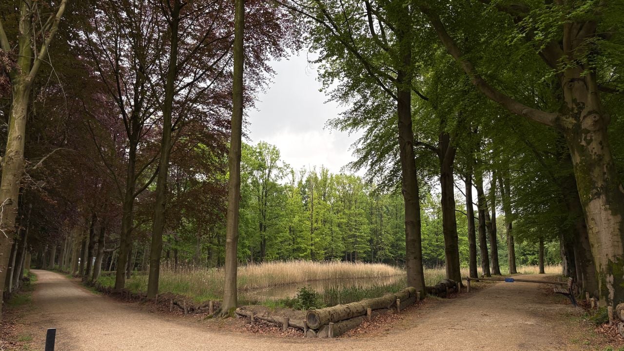 De natuur op landgoed De Wielewaal in Eindhoven (foto: Rogier van Son). 