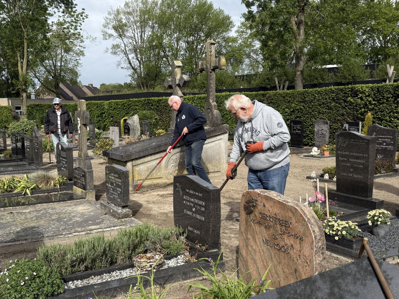 Iedere graspol, ieder plukje onkruid wordt weggehaald op de begraafplaats in Hoogeloon (foto: Karin Kamp).