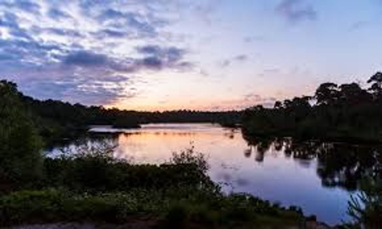 Schemertocht op de Kampina (foto: Natuurmonumenten).