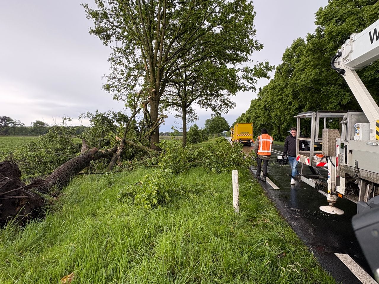 N397 van en naar Eersel afgesloten door omgevallen bomen