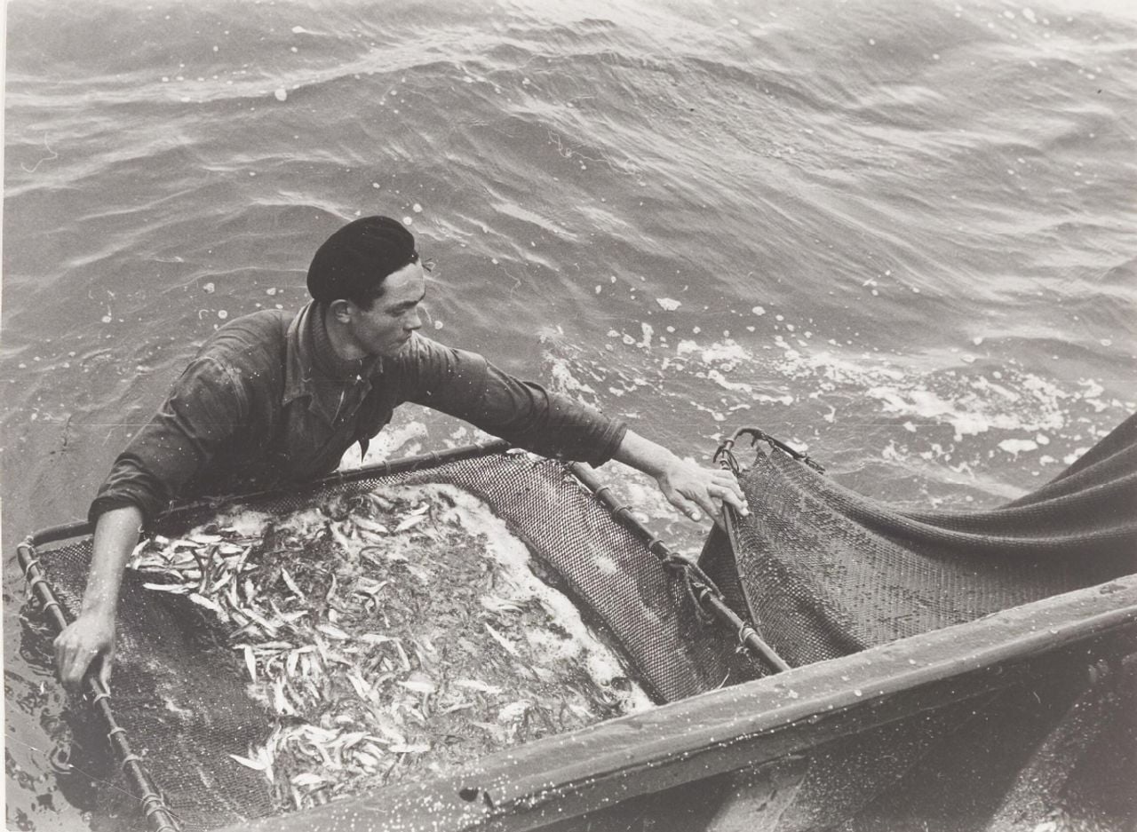 Weervisserij in 1940 in de Oosterschelde (beeld: Foto Archief Bergen op Zoom).