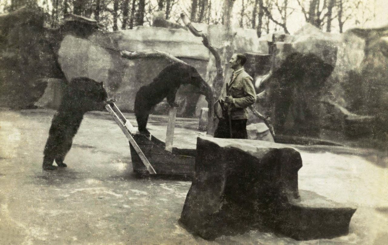 Carlo Stevens met beren in de dierentuin in Wassenaar (foto: privécollectie familie Stevens)