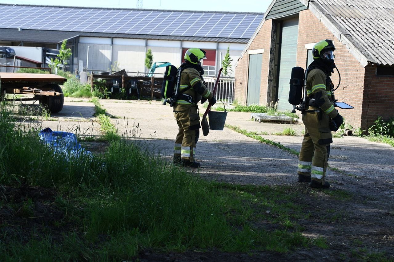 Foto: SK-Media/Persbureau Heitink