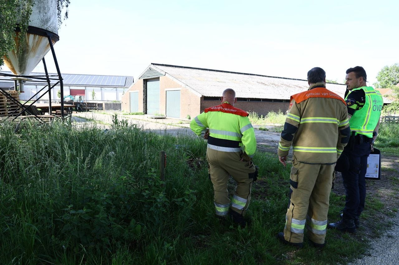 Foto: SK-Media/Persbureau Heitink