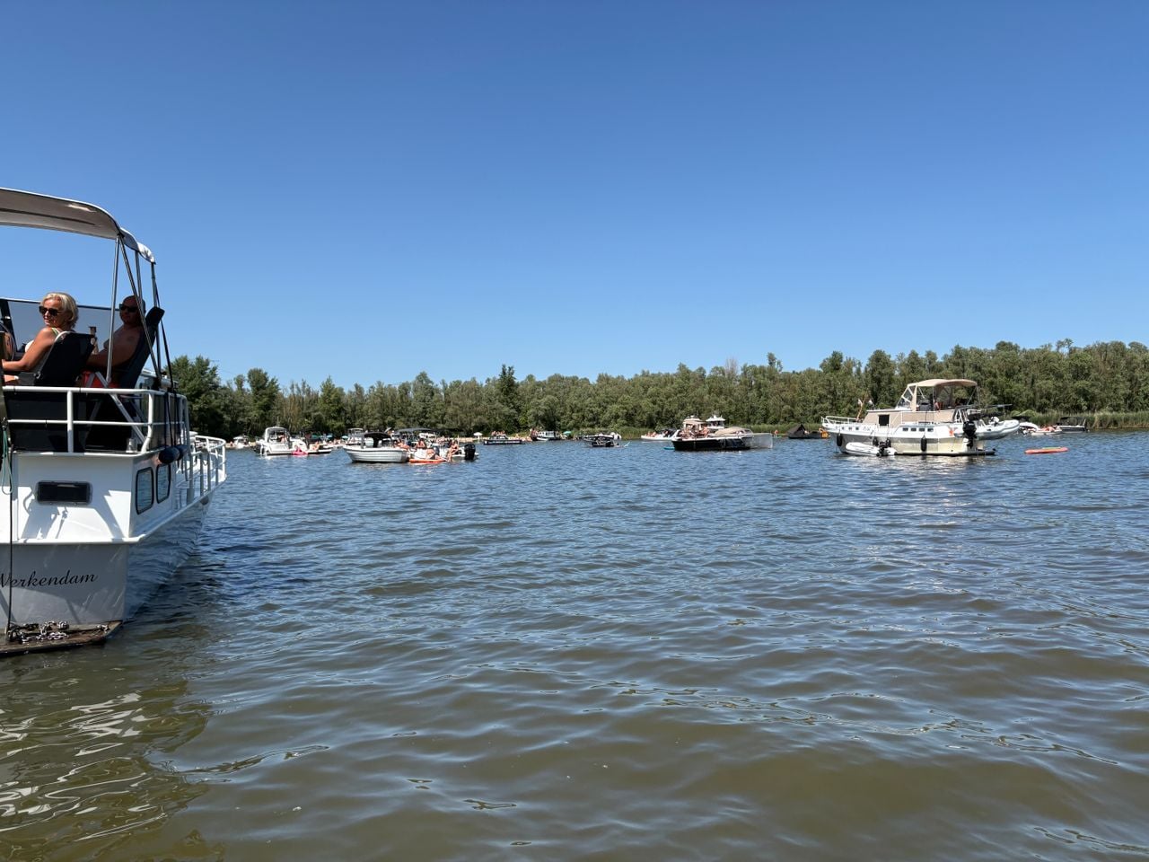 Drukte in de Biesbosch (foto: Jan Waalen).