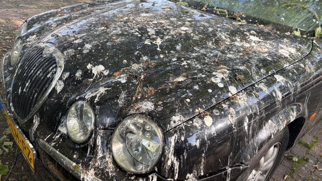 De vogels hebben vooral de motorkap te grazen genomen (Foto: Imke van de Laar)