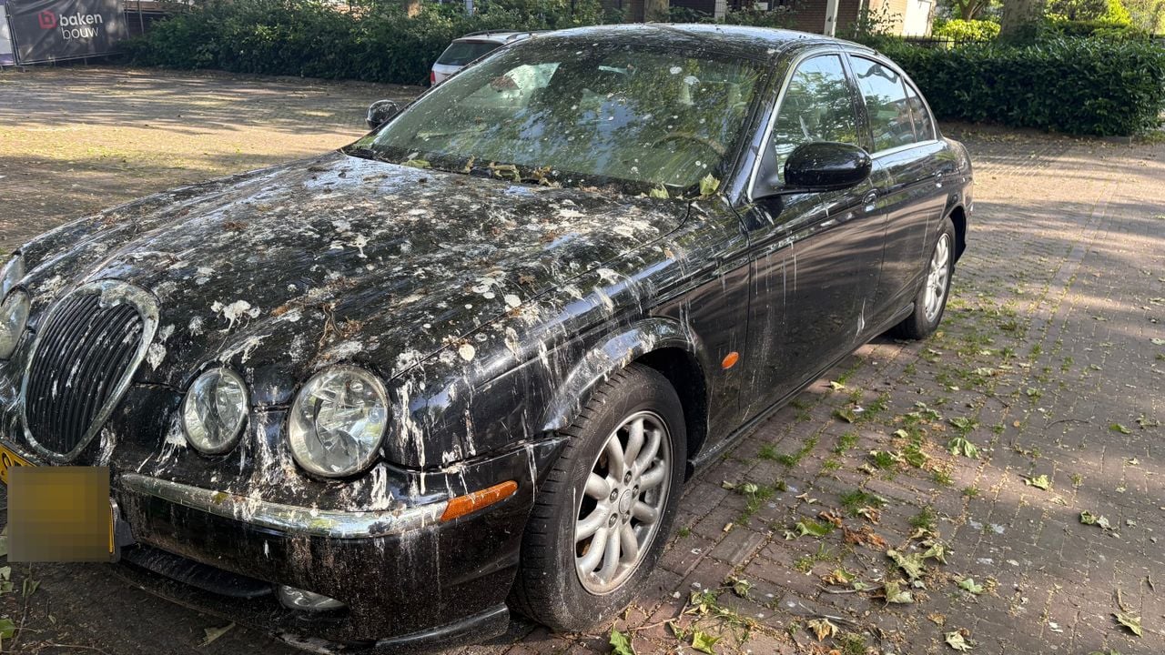 Het wordt nog een hele klus om de auto weer schoon te krijgen (Foto: Imke van de Laar)