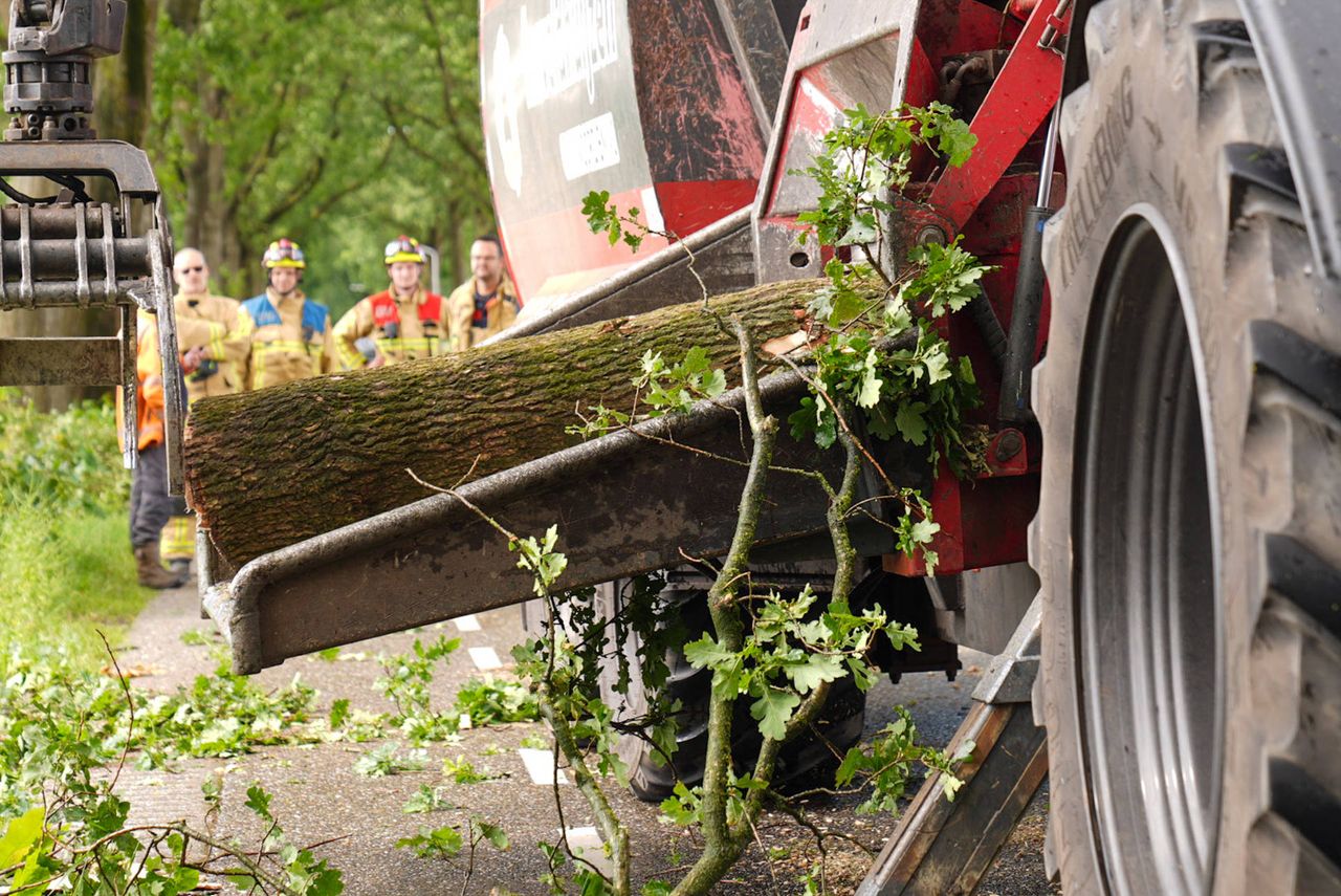 Omgewaaide boom in Liessel (foto: Harrie Grijseels / Persbureau Heitink).