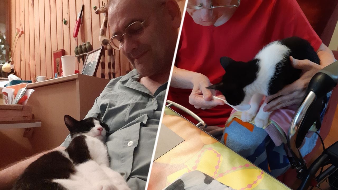 Wim en Herma deelden ook hun liefde voor dieren (foto: privéfoto). 