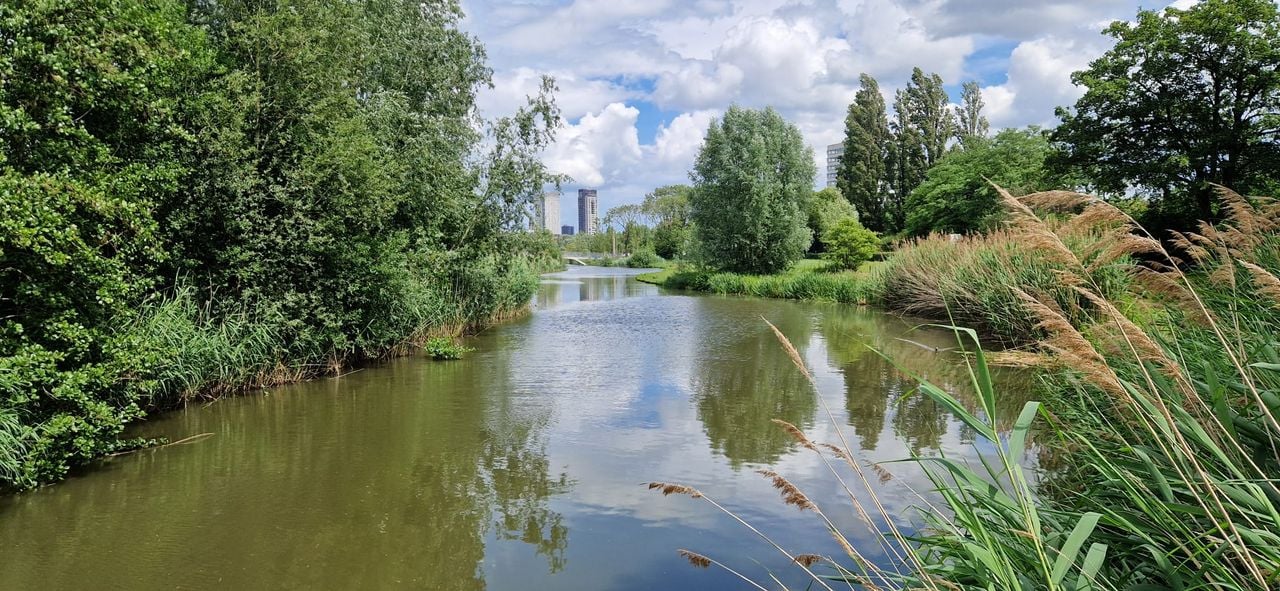 De Gender op een andere locatie in Eindhoven (foto: Corine van der Putten). 