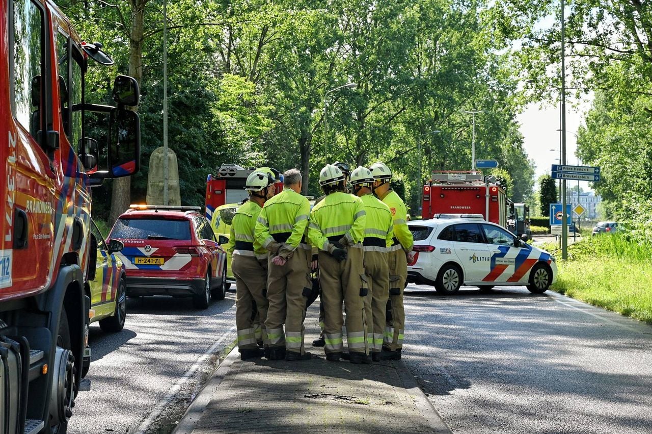 Mogelijk was de boom die op de auto viel rot (foto: Toby de Kort / Persbureau Heitink).