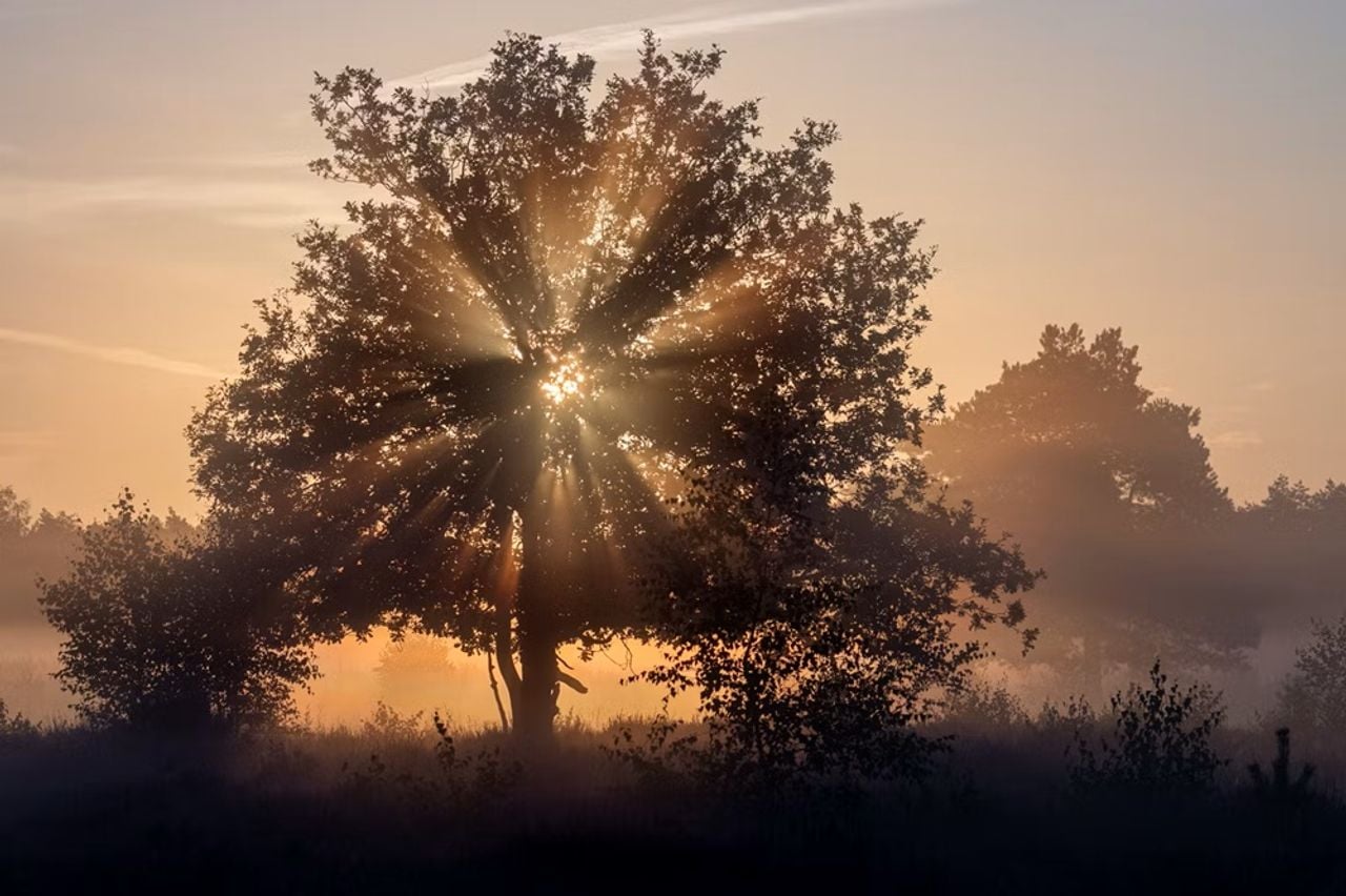 Zonsopkomst bij de Maashorst (foto: IVN Uden).