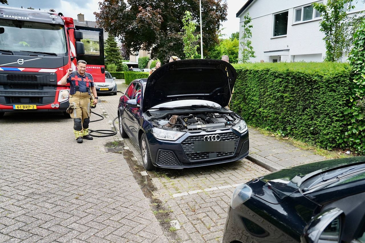 De beestjes richten vaak schade aan bij auto's (foto: De beestjes richten vaak schade aan bij auto's (foto: Jeroen Stuve / Persbureau Heitink).
