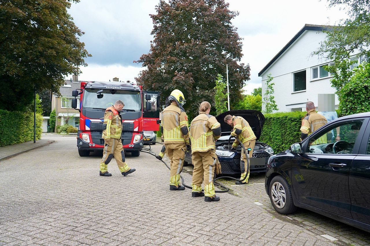 De brandweer spoot met water in de motorkap toen de dieren tevoorschijn kwamen (foto: Jeroen Stuve / Persbureau Heitink).