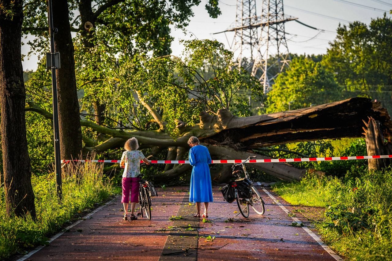 Foto: Persbureau Heitink.