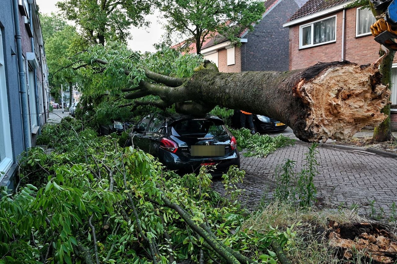Boom op auto in de Kardinaal van Enkevoortstraat in Tilburg (foto: Toby de Kort / Persbureau Heitink).