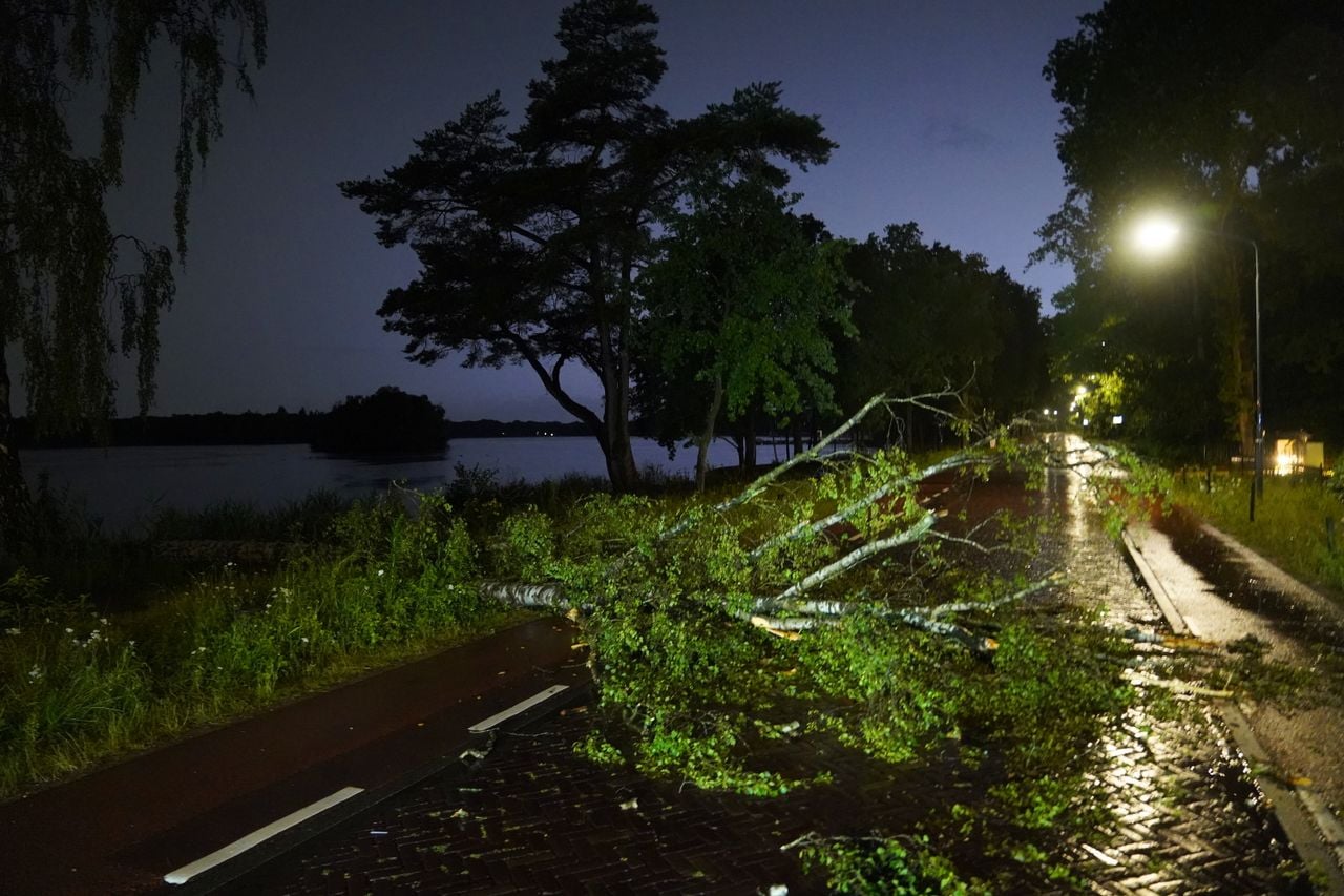 Bomen versperren de weg in Vught (foto: Persbureau Heitink).