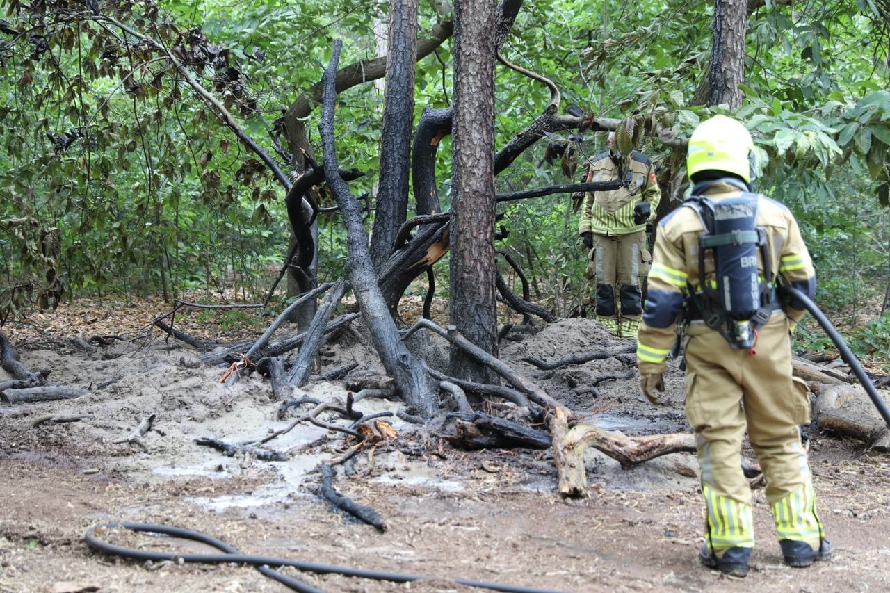 Natuurbrand in Bergen op Zoom (foto: Christian Traets/Persbureau Heitink).