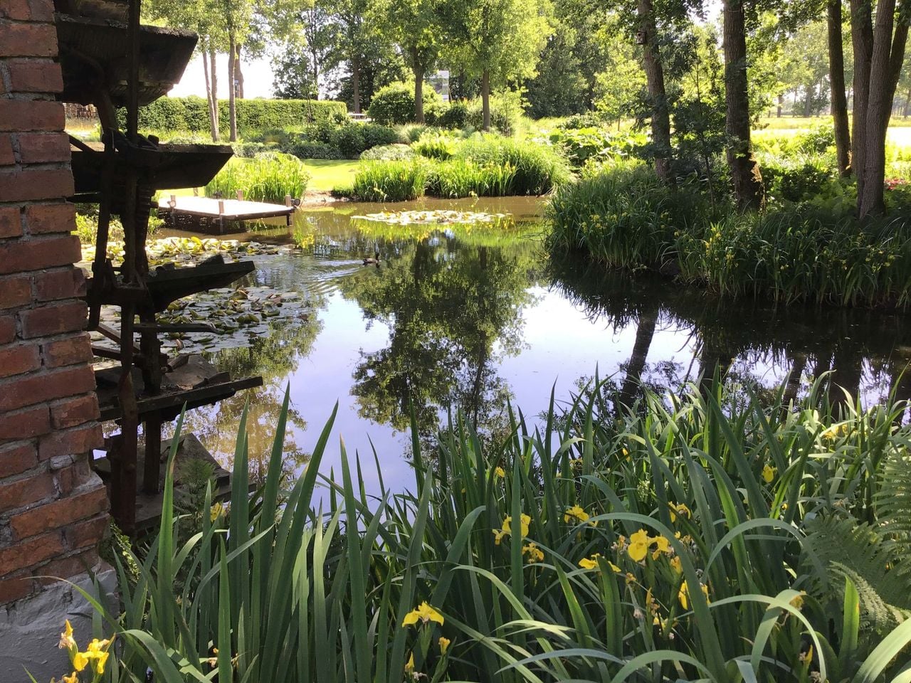De watermolen en de natuurvijver (foto: Verhagen Makelaars).