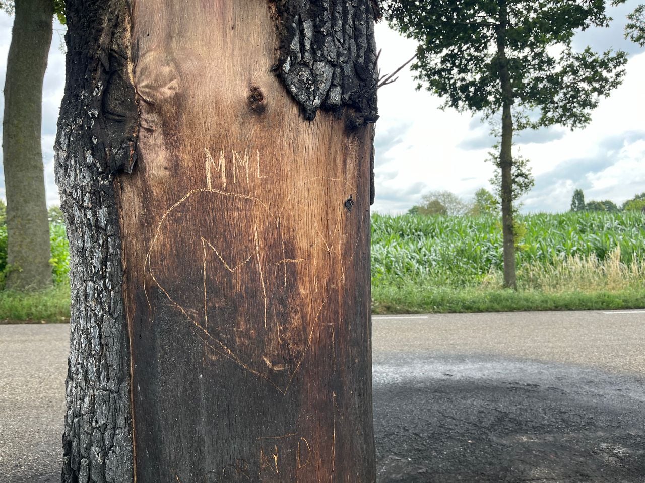 Meiden krassen voorletters van verongelukte jongens in boom (foto: Floortje Steigenga).