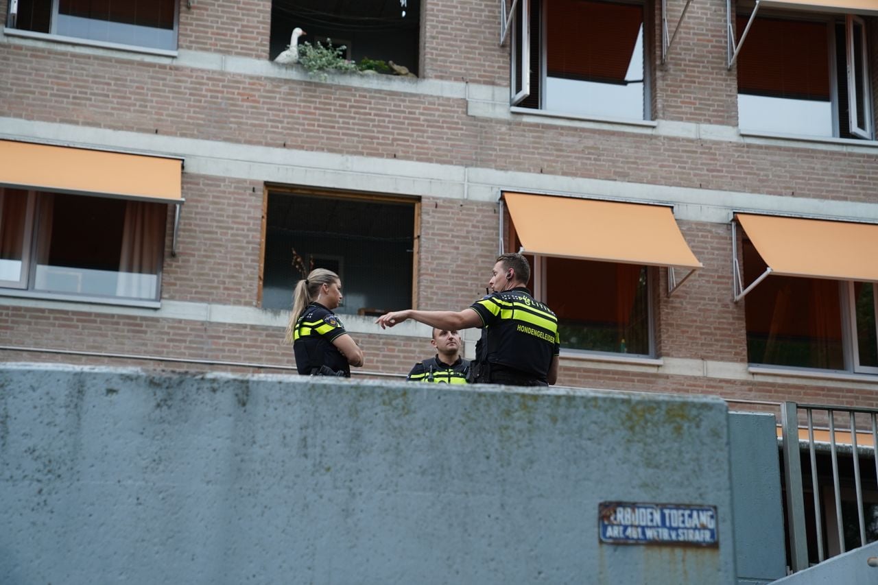 De politie is bezig met een zoekactie in Den Bosch (foto: Bart Meesters/Persbureau Heitink).