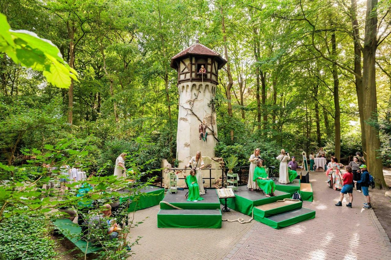 De actie van de Efteling en de Nederlandse Haarstichting