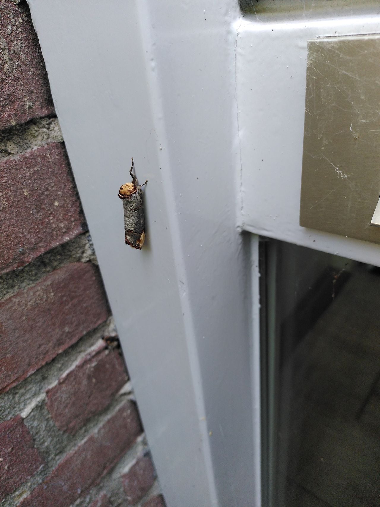 Een wapendrager (foto: Eva-Maria de Hoog).