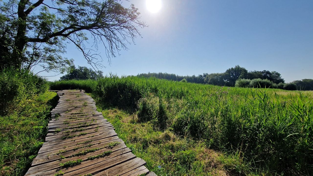 De plek waar de knuppelbrug omhoog of omlaag gaat op de plek van de Peelrandbreuk (foto: Tom Berkers).