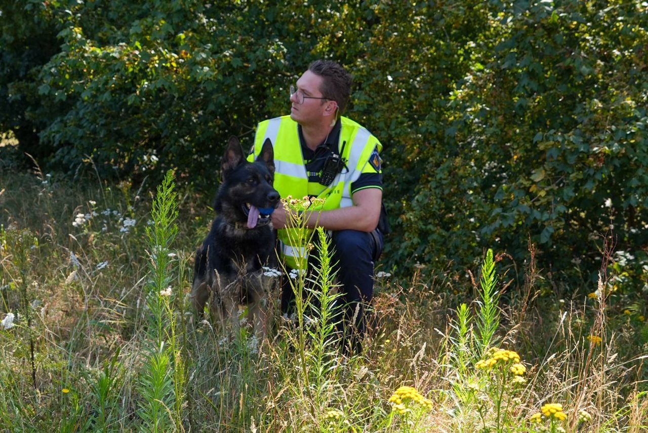De hond kwam met de schrik vrij (foto: Harrie Grijseels / Persbureau Heitink).
